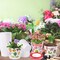 Garden Plastic Pot Spring Activity Craft Kit DIY Flower Plant Crafts Nursery Pots with Stickers Flower Planting Growing Kit for Spring Summer Home Classroom School Creative DIY Art Project Activities for Kids